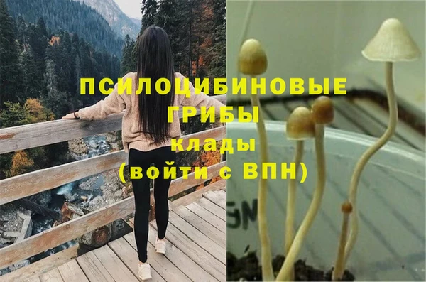гашик Армянск