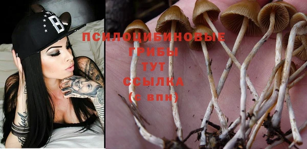 винт Арсеньев