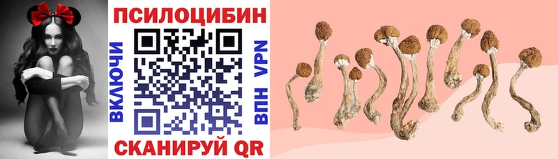 Галлюциногенные грибы GOLDEN TEACHER  Цивильск 